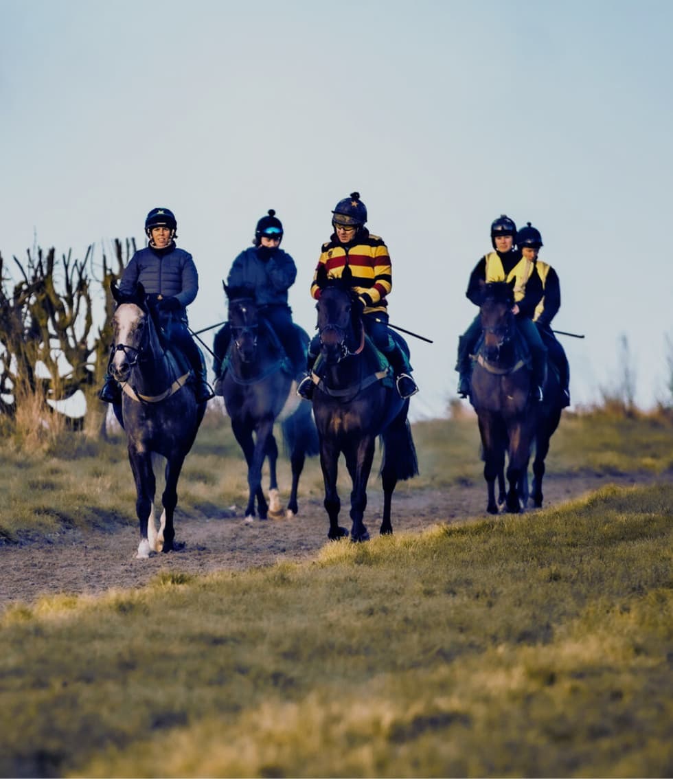 Racing groom insurance silver