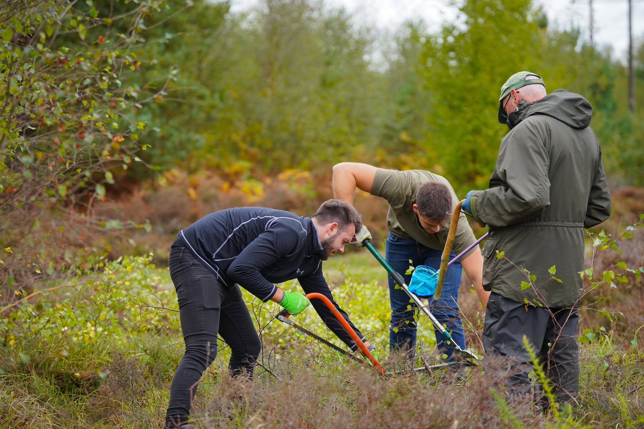 Strategic Land Promoter Volunteers