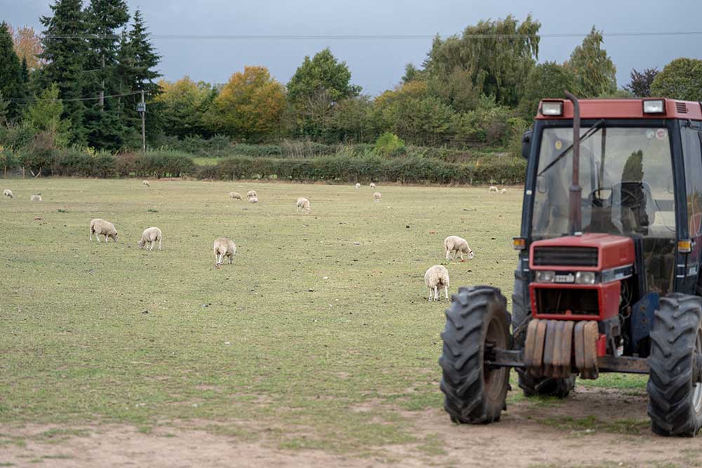 Agricultural Land