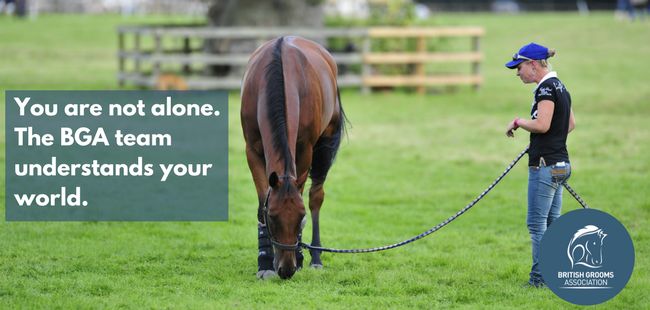 Career support from the British Grooms Association