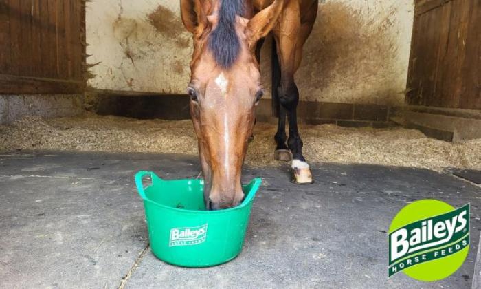 Grass alternatives - Baileys horse feeds1