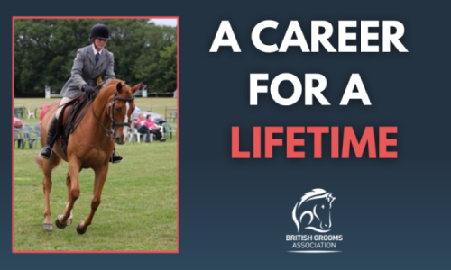 Grooms Life Article Image