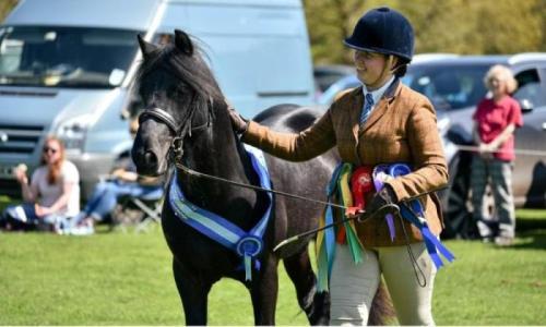 Grooms Life Article Image