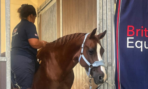 Grooms Life Article Image