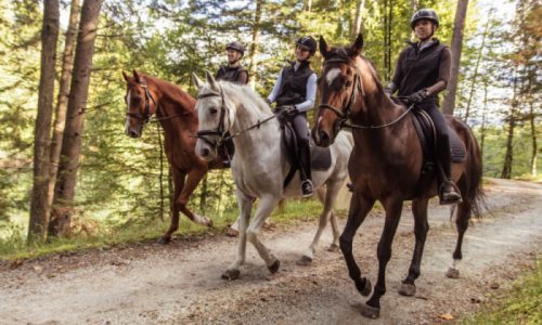 Grooms Life Article Image