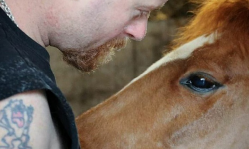 Grooms Life Article Image