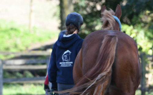 Grooms Life Article Image