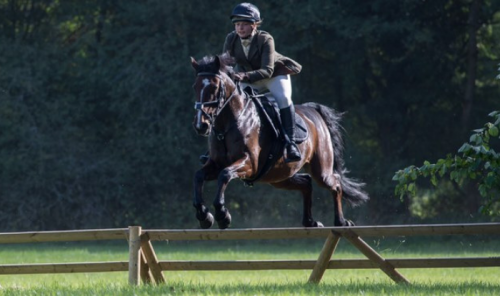 Grooms Life Article Image