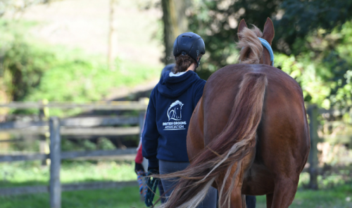 Grooms Life Article Image