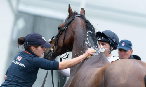 Grooms Life Article Image