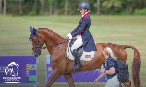 Grooms Life Article Image