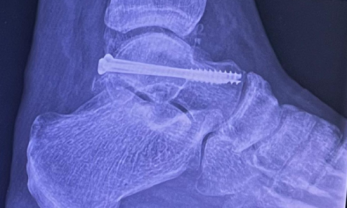 Grooms Life Article Image