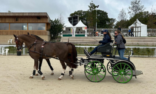 Grooms Life Article Image