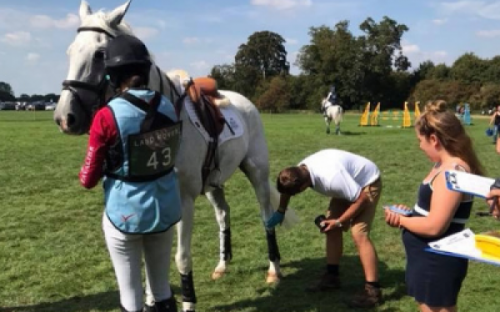 Grooms Life Article Image