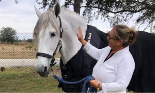 Grooms Life Article Image