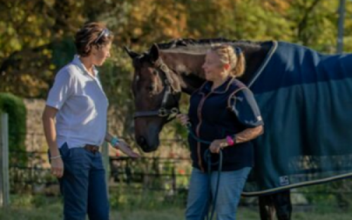 Grooms Life Article Image
