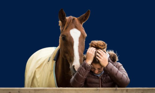Grooms Life Article Image
