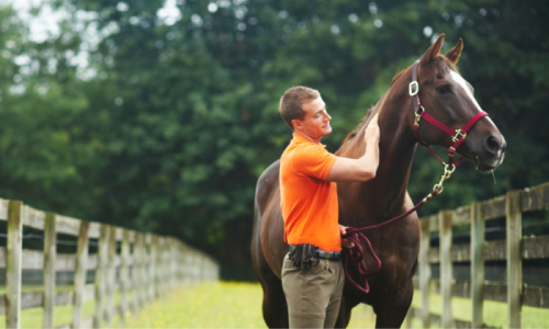 Grooms Life Article Image