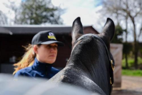 Grooms Life Article Image