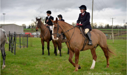 Grooms Life Article Image
