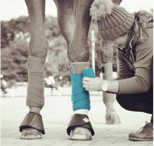 Grooms Life Article Image