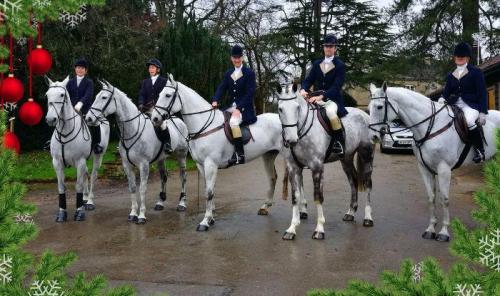 Grooms Life Article Image