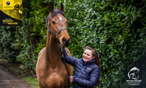 Grooms Life Article Image