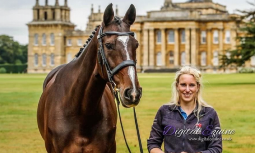 Grooms Life Article Image