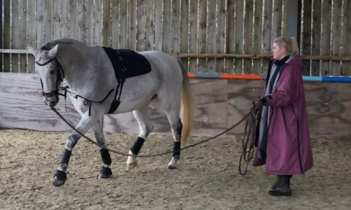 Grooms Life Article Image