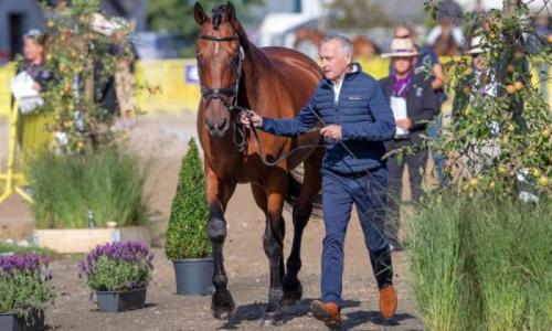 Grooms Life Article Image